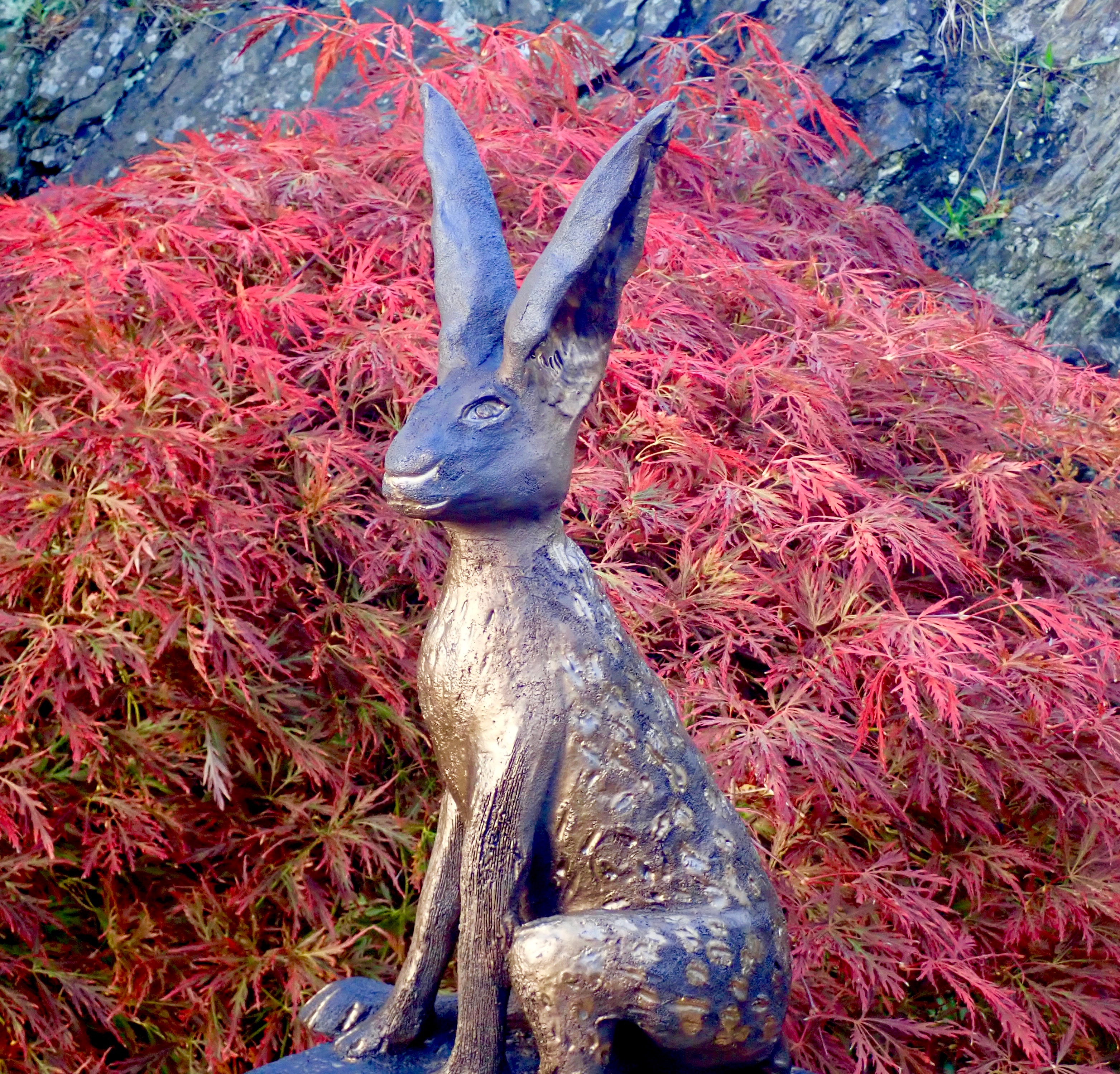 Autumn Hare.jpg